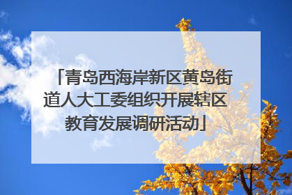 青岛西海岸新区黄岛街道人大工委组织开展辖区教育发展调研活动