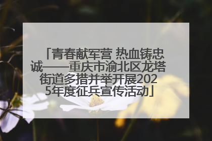 青春献军营 热血铸忠诚——重庆市渝北区龙塔街道多措并举开展2025年度征兵宣传活动