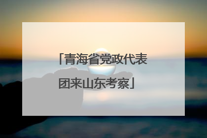 青海省党政代表团来山东考察