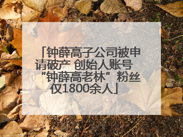 钟薛高子公司被申请破产 创始人账号“钟薛高老林”粉丝仅1800余人