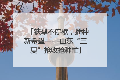 铁犁不停歇，播种新希望——山东“三夏”抢收抢种忙