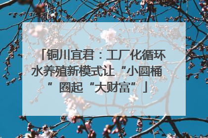 铜川宜君：工厂化循环水养殖新模式让“小圆桶”圈起“大财富”