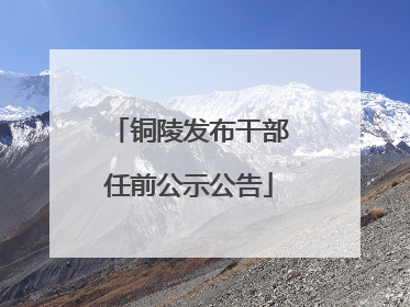 铜陵发布干部任前公示公告