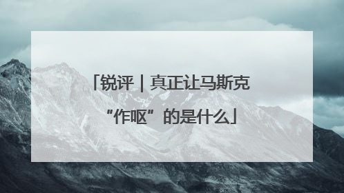 锐评｜真正让马斯克“作呕”的是什么