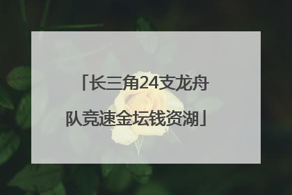 长三角24支龙舟队竞速金坛钱资湖