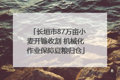 长垣市87万亩小麦开镰收割 机械化作业保障夏粮归仓