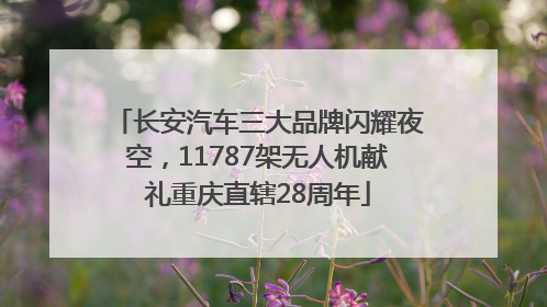 长安汽车三大品牌闪耀夜空，11787架无人机献礼重庆直辖28周年