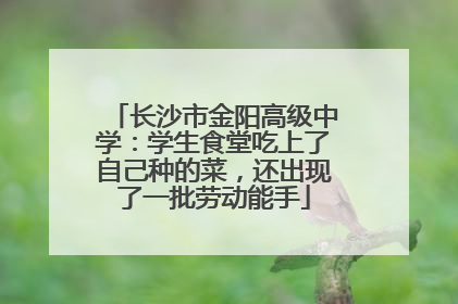 长沙市金阳高级中学：学生食堂吃上了自己种的菜，还出现了一批劳动能手