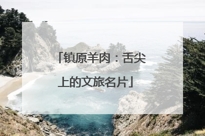 镇原羊肉：舌尖上的文旅名片