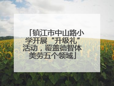 镇江市中山路小学开展“升级礼”活动，覆盖德智体美劳五个领域