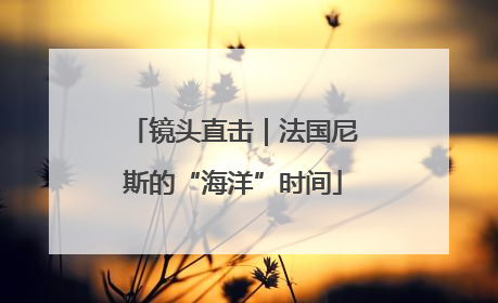 镜头直击｜法国尼斯的“海洋”时间