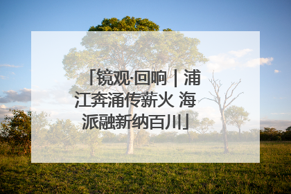 镜观·回响｜浦江奔涌传薪火 海派融新纳百川
