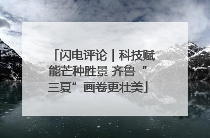 闪电评论｜科技赋能芒种胜景 齐鲁“三夏”画卷更壮美