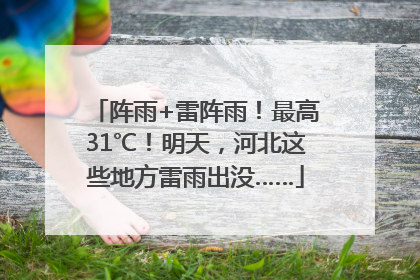 阵雨+雷阵雨！最高31℃！明天，河北这些地方雷雨出没……