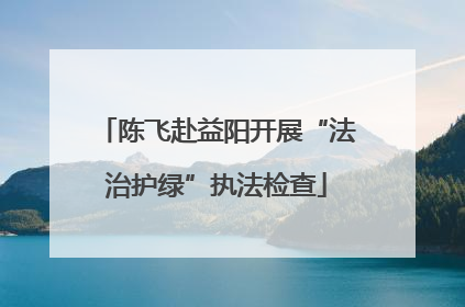 陈飞赴益阳开展“法治护绿”执法检查
