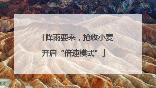 降雨要来，抢收小麦开启“倍速模式”