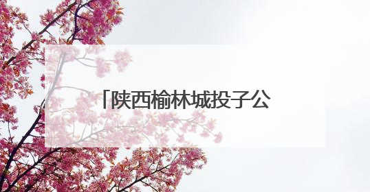 陕西榆林城投子公司回应“关闭公共停车场办活动”：车辆进出经过活动现场，为安全临时关闭