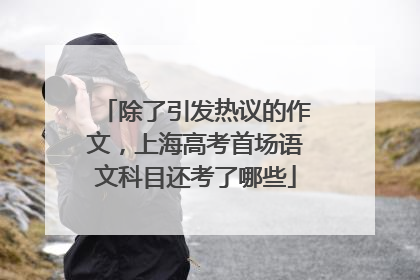 除了引发热议的作文，上海高考首场语文科目还考了哪些