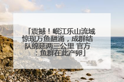 震撼！岷江乐山流域惊现万鱼翻涌，成群结队绵延两三公里 官方：鱼群在此产卵