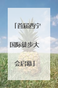 首届西宁国际徒步大会启幕