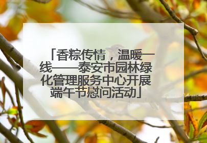 香粽传情，温暖一线——泰安市园林绿化管理服务中心开展端午节慰问活动