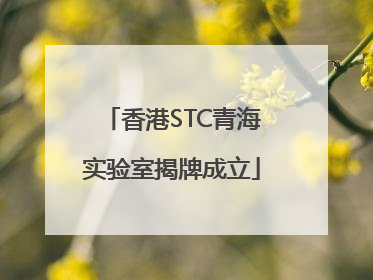 香港STC青海实验室揭牌成立