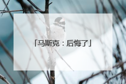 马斯克：后悔了
