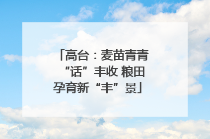 高台：麦苗青青“话”丰收 粮田孕育新“丰”景