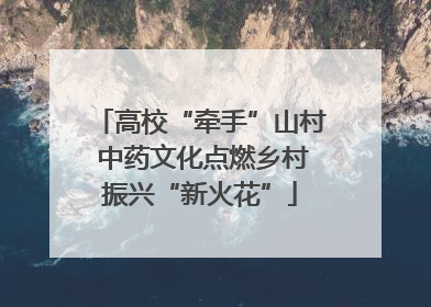 高校“牵手”山村 中药文化点燃乡村振兴“新火花”