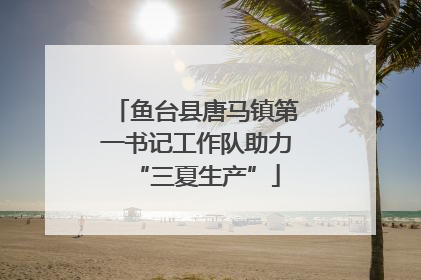 鱼台县唐马镇第一书记工作队助力“三夏生产”