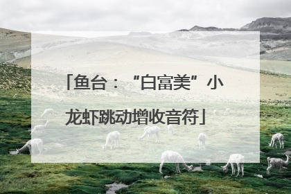 鱼台：“白富美”小龙虾跳动增收音符