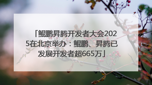 鲲鹏昇腾开发者大会2025在北京举办：鲲鹏、昇腾已发展开发者超665万