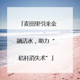麦田里引来金融活水，助力“秸秆消失术”