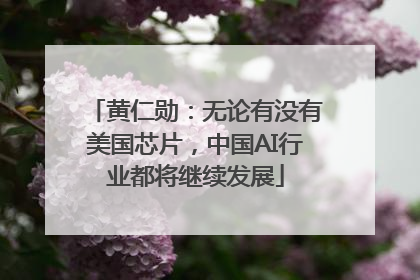 黄仁勋：无论有没有美国芯片，中国AI行业都将继续发展