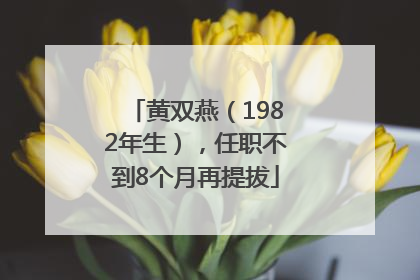 黄双燕（1982年生），任职不到8个月再提拔