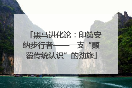 黑马进化论：印第安纳步行者——一支“颠覆传统认识”的劲旅