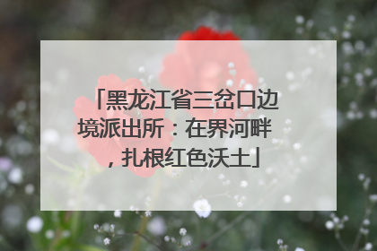 黑龙江省三岔口边境派出所：在界河畔，扎根红色沃土
