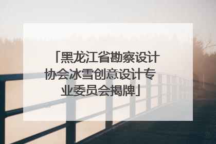 黑龙江省勘察设计协会冰雪创意设计专业委员会揭牌