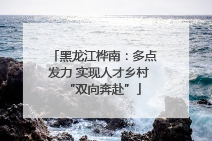 黑龙江桦南：多点发力 实现人才乡村“双向奔赴”