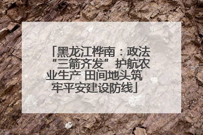 黑龙江桦南：政法“三箭齐发”护航农业生产 田间地头筑牢平安建设防线