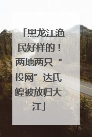 黑龙江渔民好样的！两地两只“投网”达氏鳇被放归大江