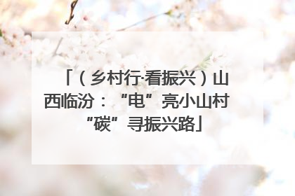 （乡村行·看振兴）山西临汾：“电”亮小山村 “碳”寻振兴路