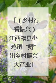 （乡村行·看振兴）江西赣县小鸡蛋“孵”出乡村振兴大产业