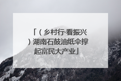 （乡村行·看振兴）湖南石鼓油纸伞撑起富民大产业