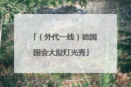 （外代一线）德国国会大厦灯光秀
