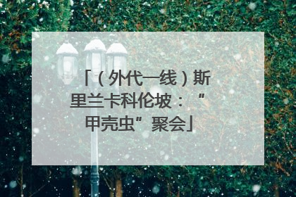（外代一线）斯里兰卡科伦坡：“甲壳虫”聚会