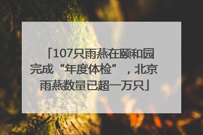 107只雨燕在颐和园完成“年度体检”，北京雨燕数量已超一万只