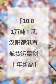 10.81万吨！武汉阳逻港直航货运量创十年新高