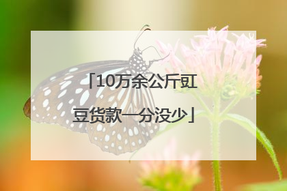 10万余公斤豇豆货款一分没少