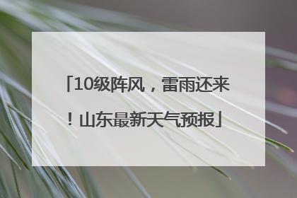 10级阵风，雷雨还来！山东最新天气预报